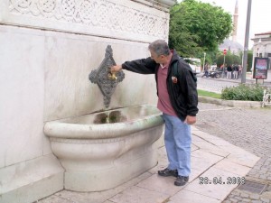 turkey3
